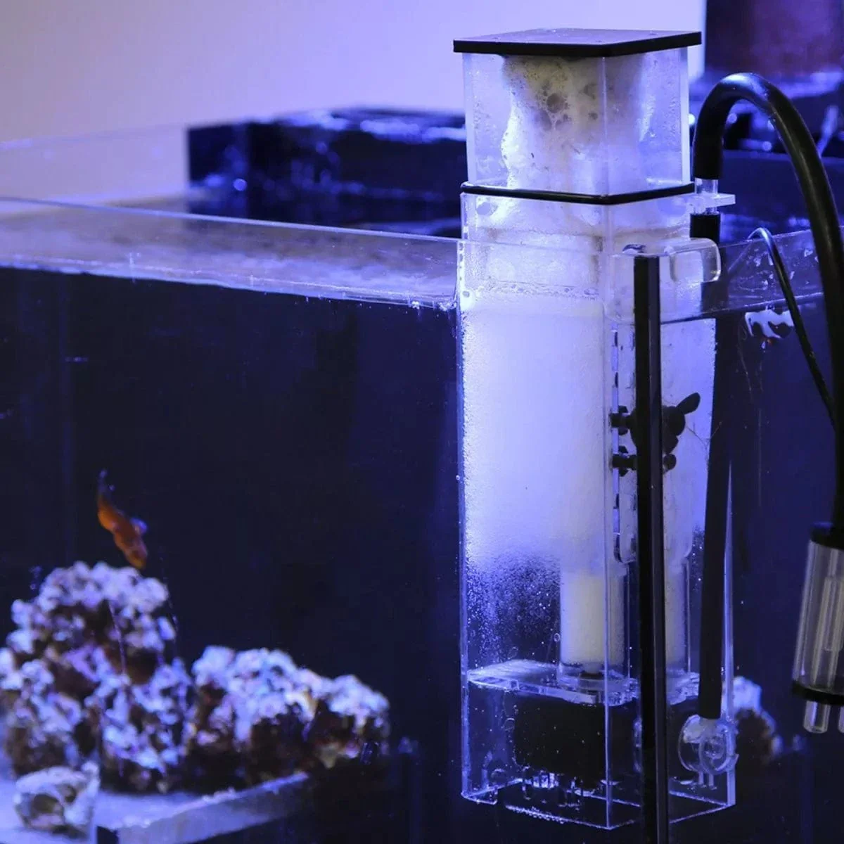 BioSkim DC Protein Skimmer - Innovative Marine - Image 4