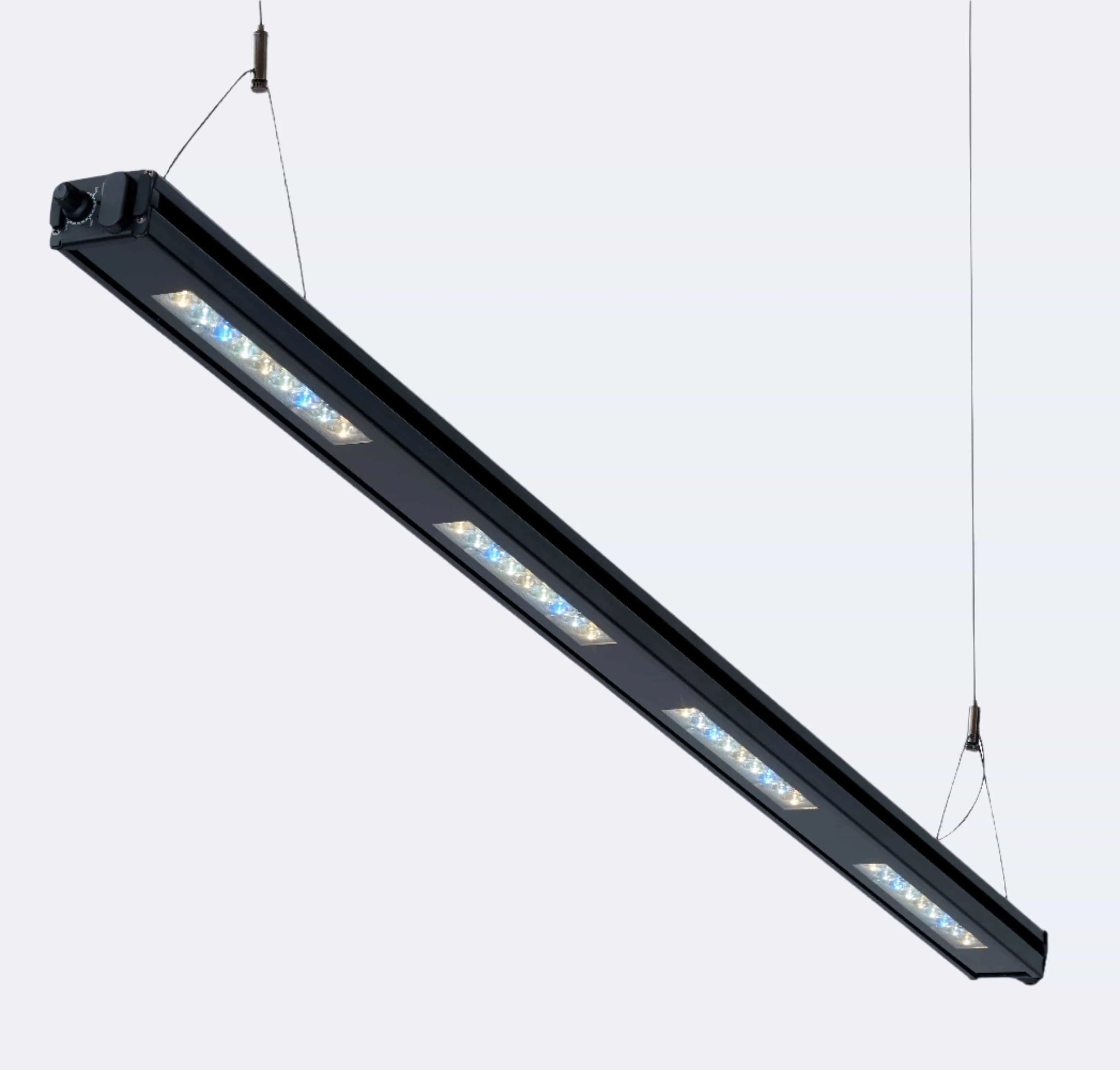Edge 45 - Reef Breeders - Image 2