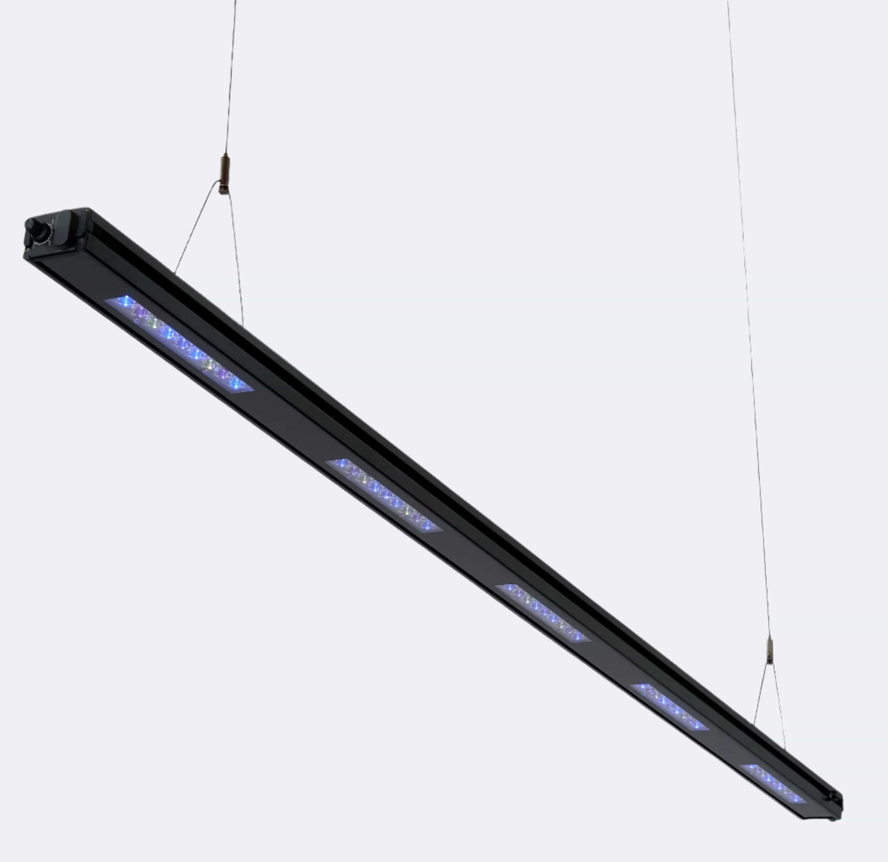 Edge 63 - Reef Breeders - Image 2