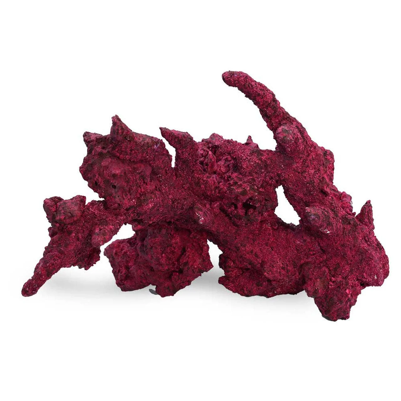 Fancy Arches - 4 Pack - Real Reef - Image 2