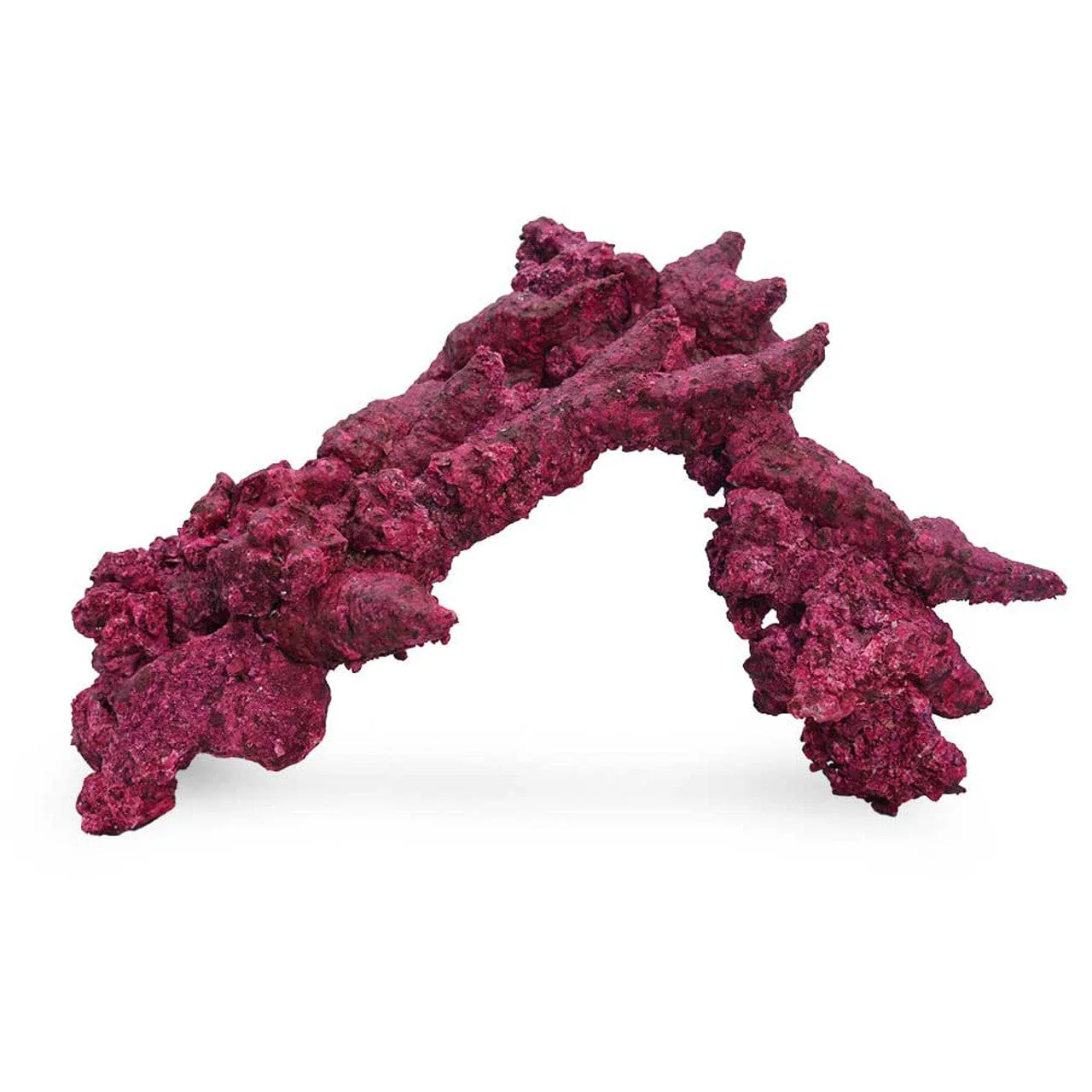 Fancy Arches - 4 Pack - Real Reef - Image 3