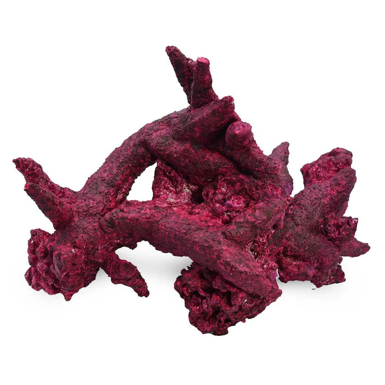 Fancy Arches - 4 Pack - Real Reef - Image 4