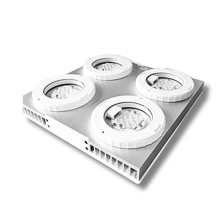 Illumagic X4 Reef Pro - Limited Edition - Dalua - Image 3