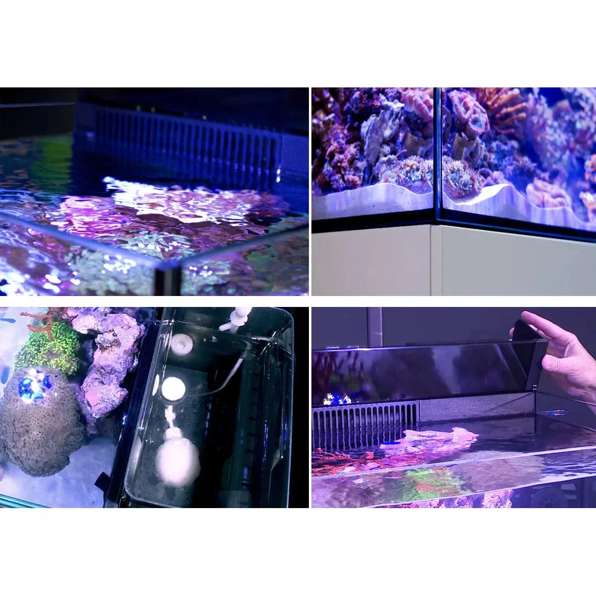 MAX NANO G2 Complete Reef System (20 Gal) - Red Sea - Image 3