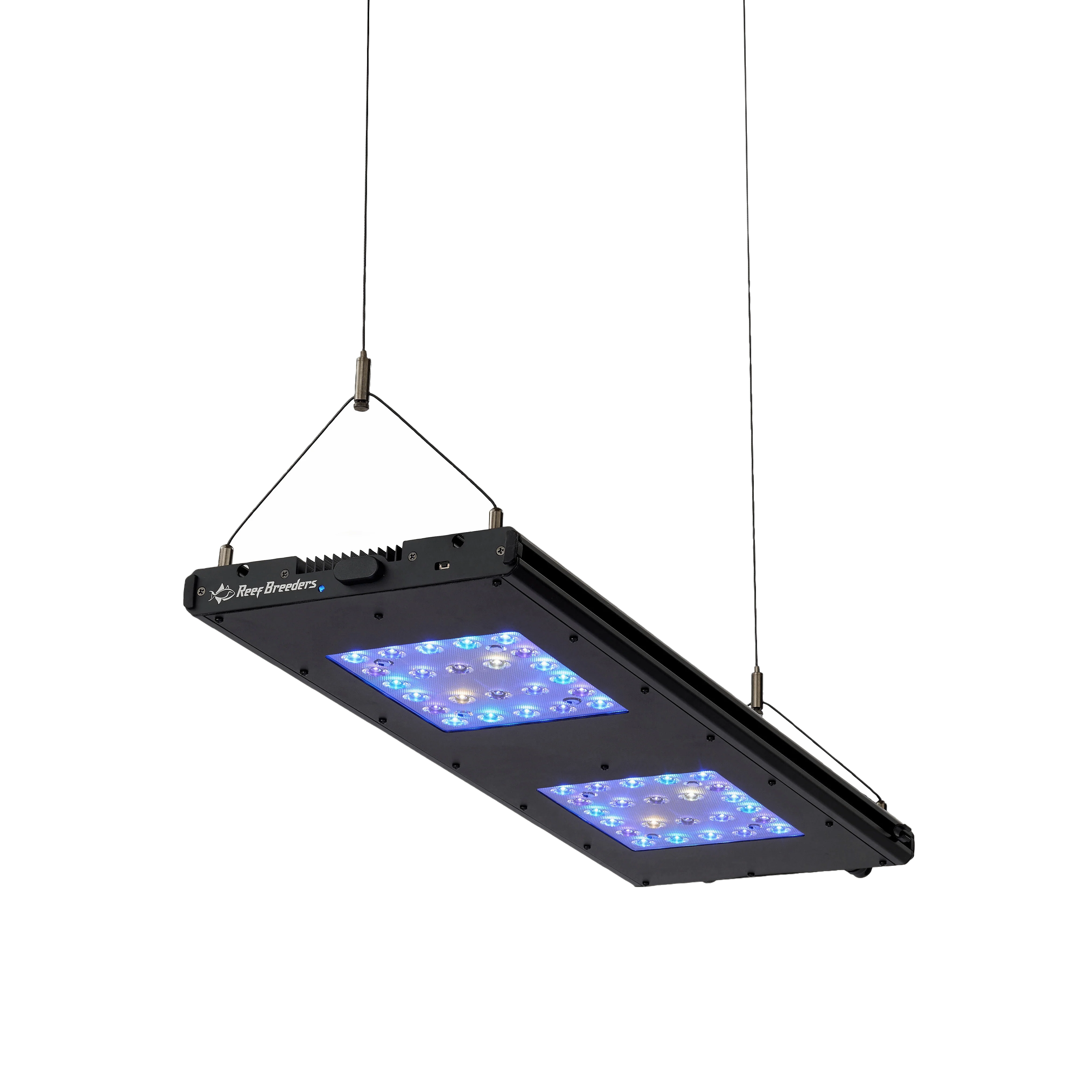 Meridian 24 - Reef Breeders - Image 3