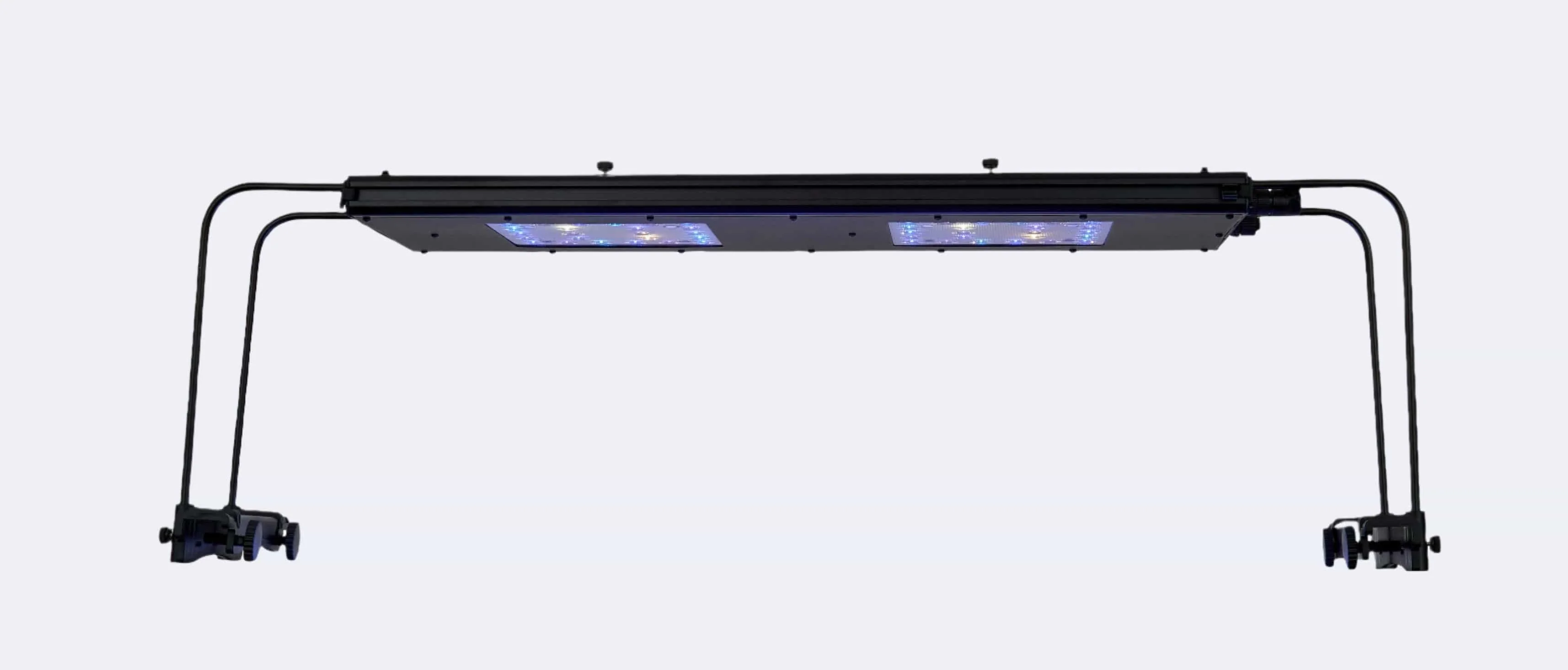 Meridian 24 - Reef Breeders - Image 4