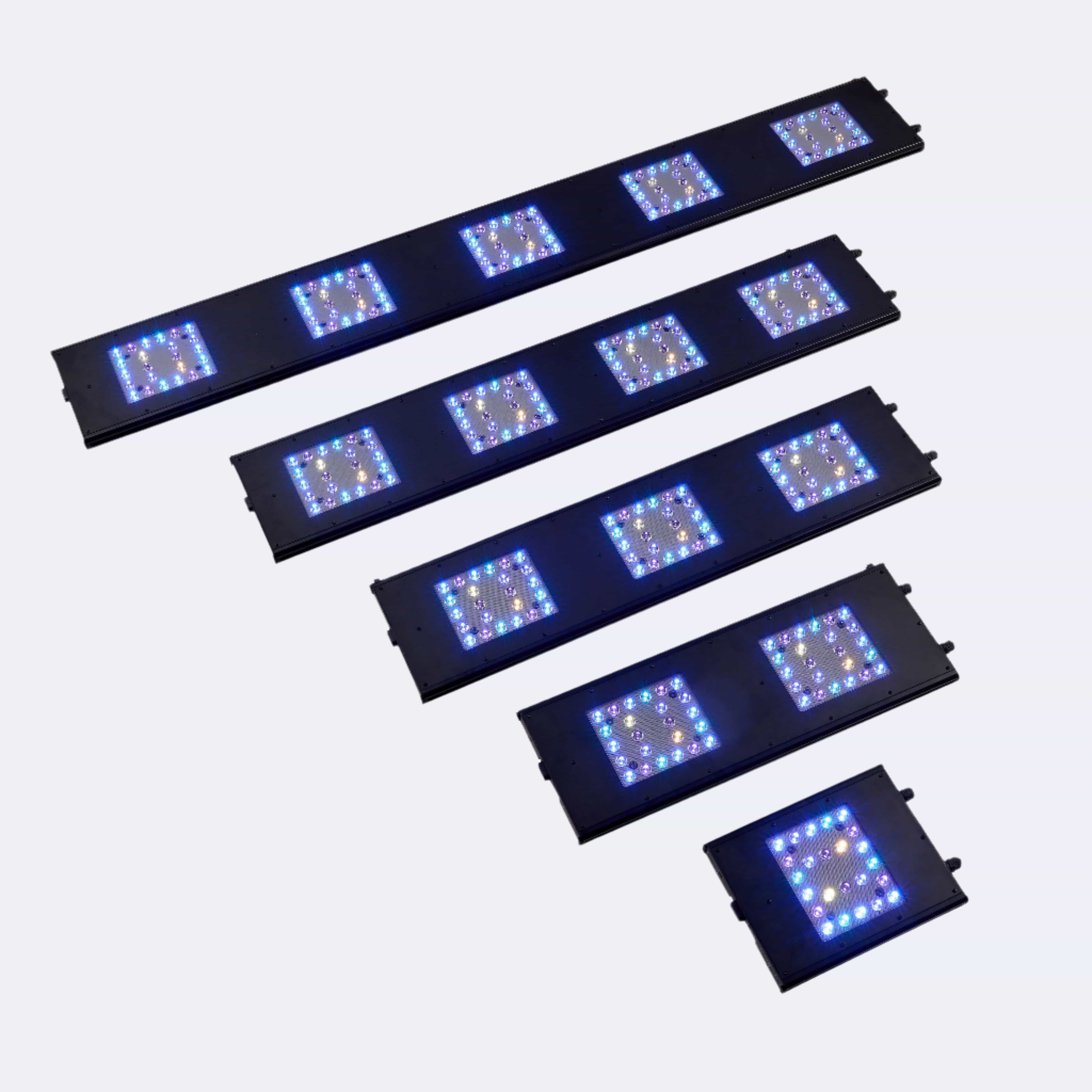 Meridian 24 - Reef Breeders - Image 6