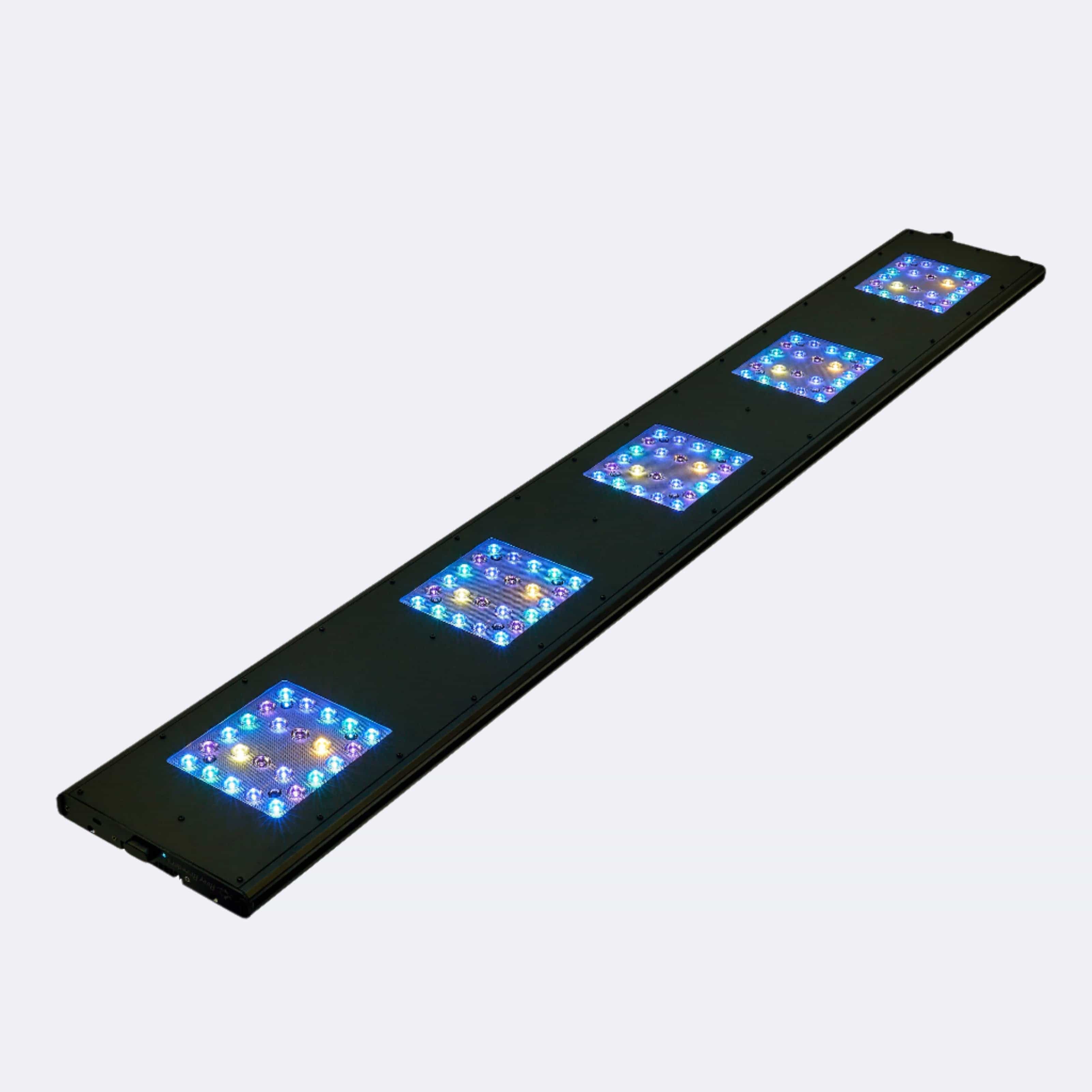 Meridian 63 - Reef Breeders - Image 2