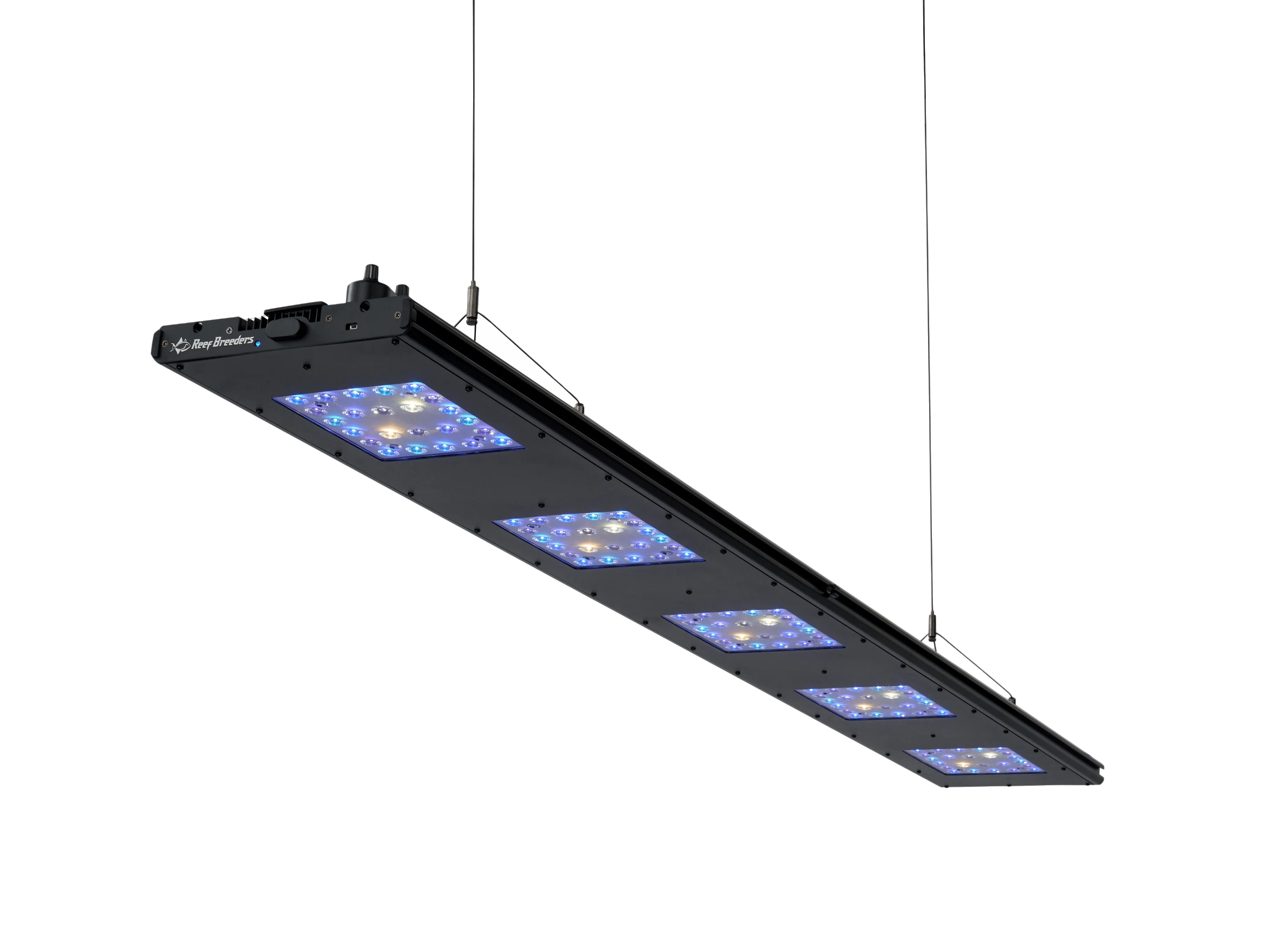 Meridian 63 - Reef Breeders - Image 3