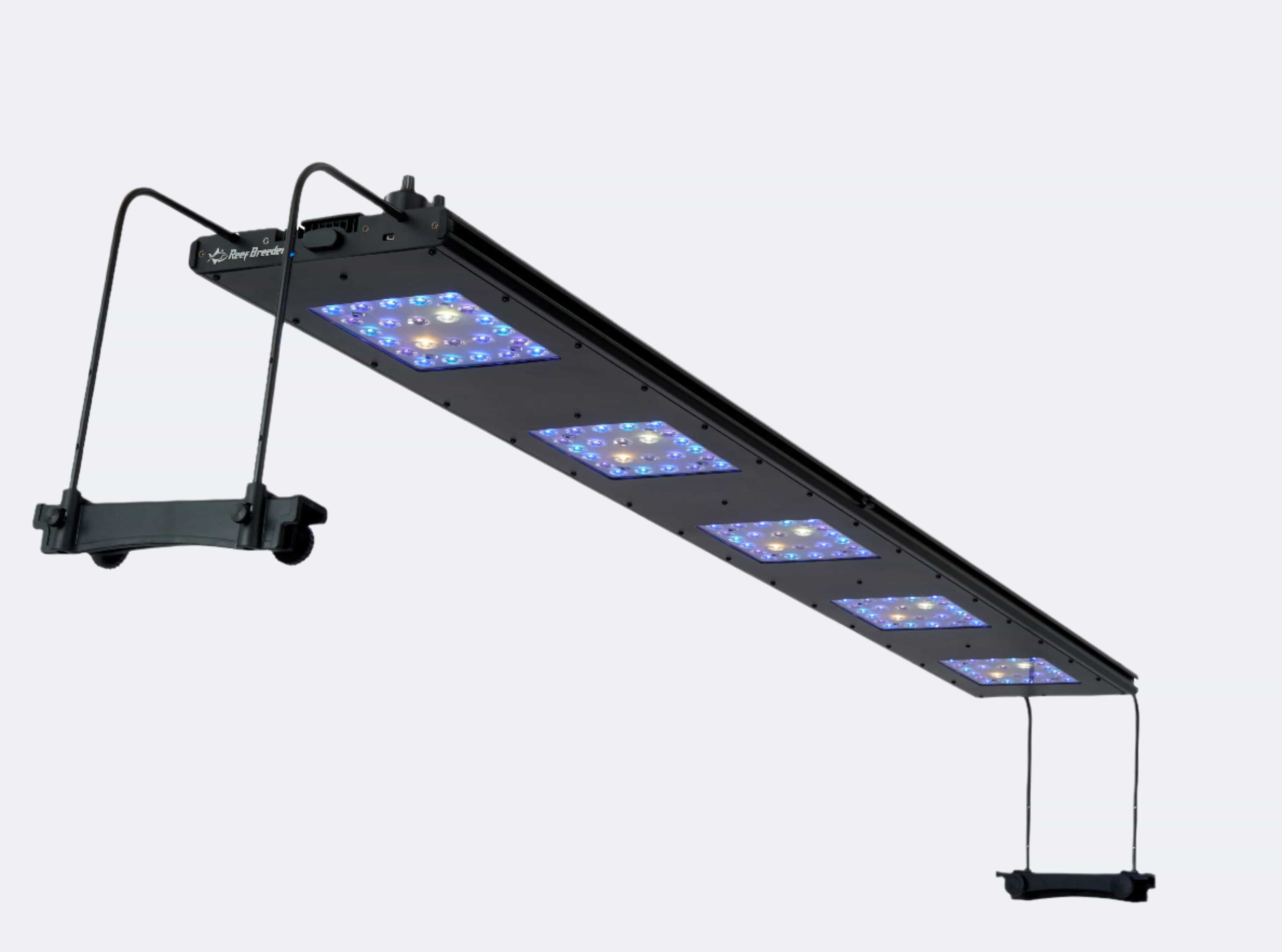 Meridian 63 - Reef Breeders - Image 6