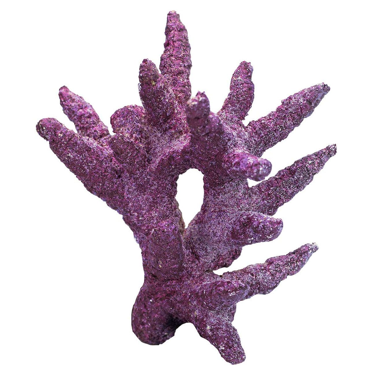 "Mini Reef Box" - 10-20 Gallons - Real Reef - Image 5