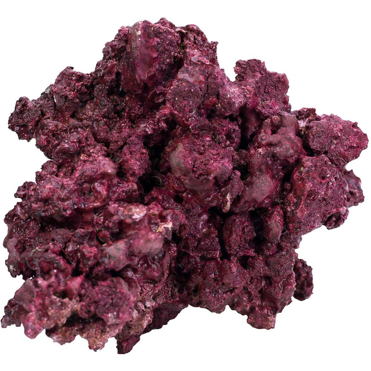 "Mini Reef Box" - 10-20 Gallons - Real Reef - Image 7