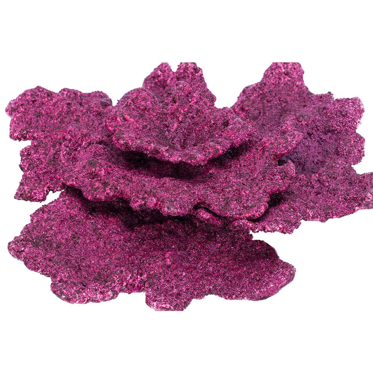 "Mini Reef Box" - 10-20 Gallons - Real Reef - Image 8