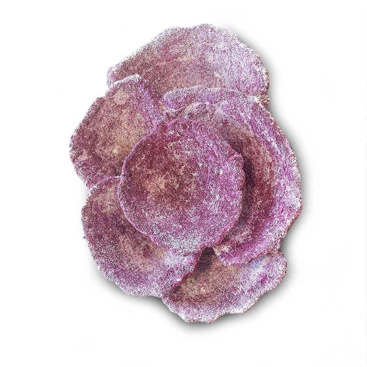 Mini Plate Corals - 10 Piece - Real Reef - Image 2