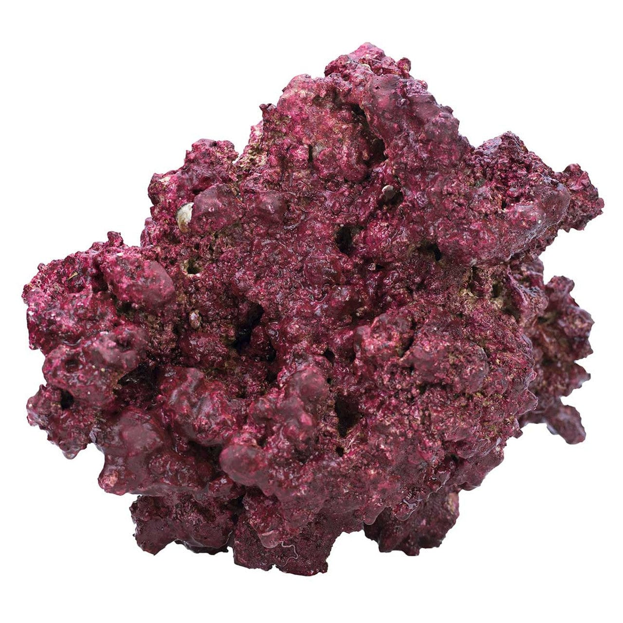 Original Mixed 3-14" Rocks - (By the lb) - Real Reef - Image 3