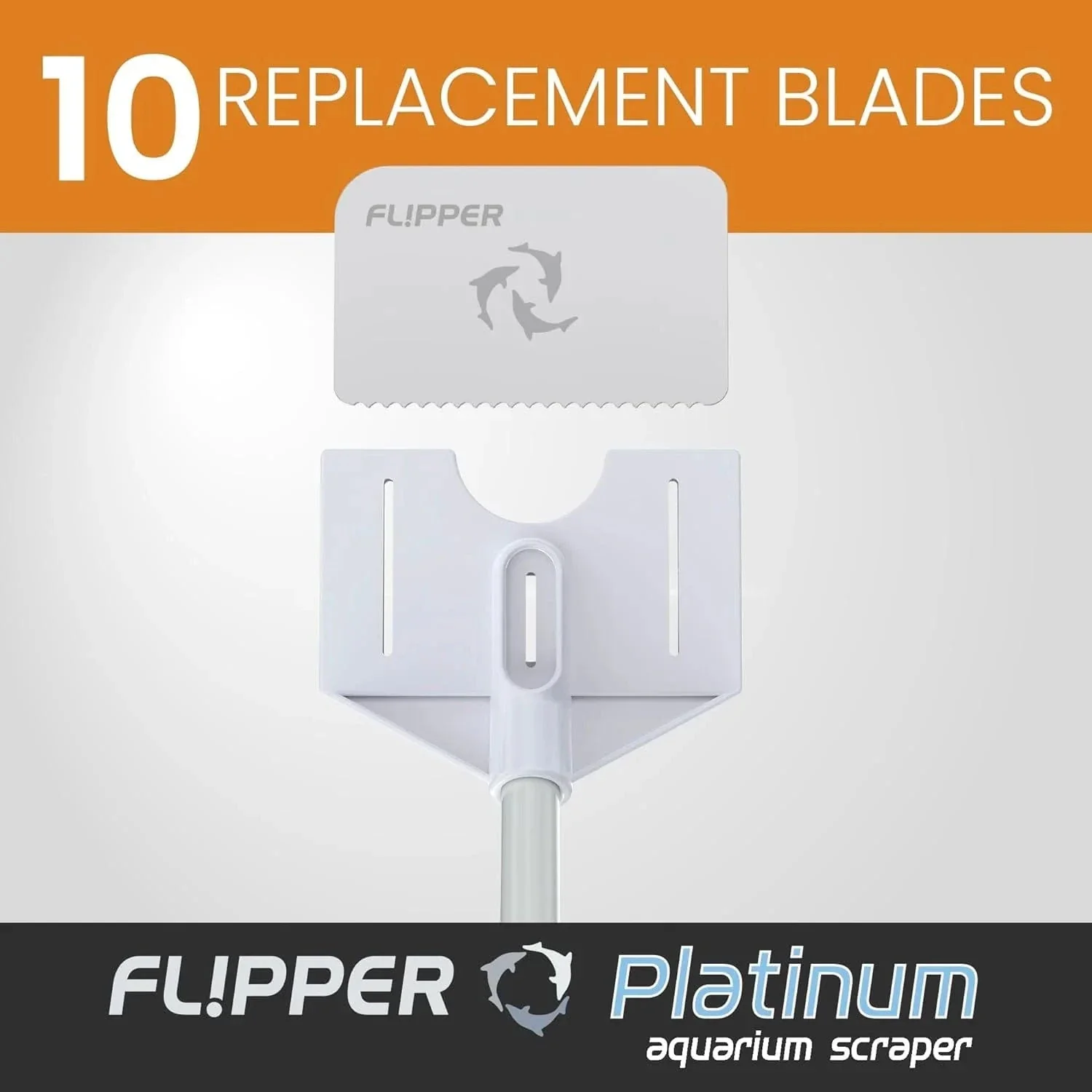 Platinum Algae Scraper Replacement Blades 10 Pack - Flipper - Image 5