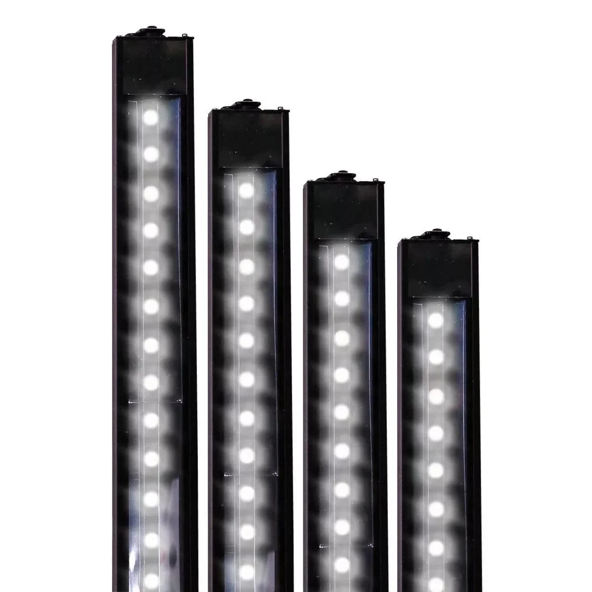 Reef Brite 72" White XHO LED Strip Light - Image 3