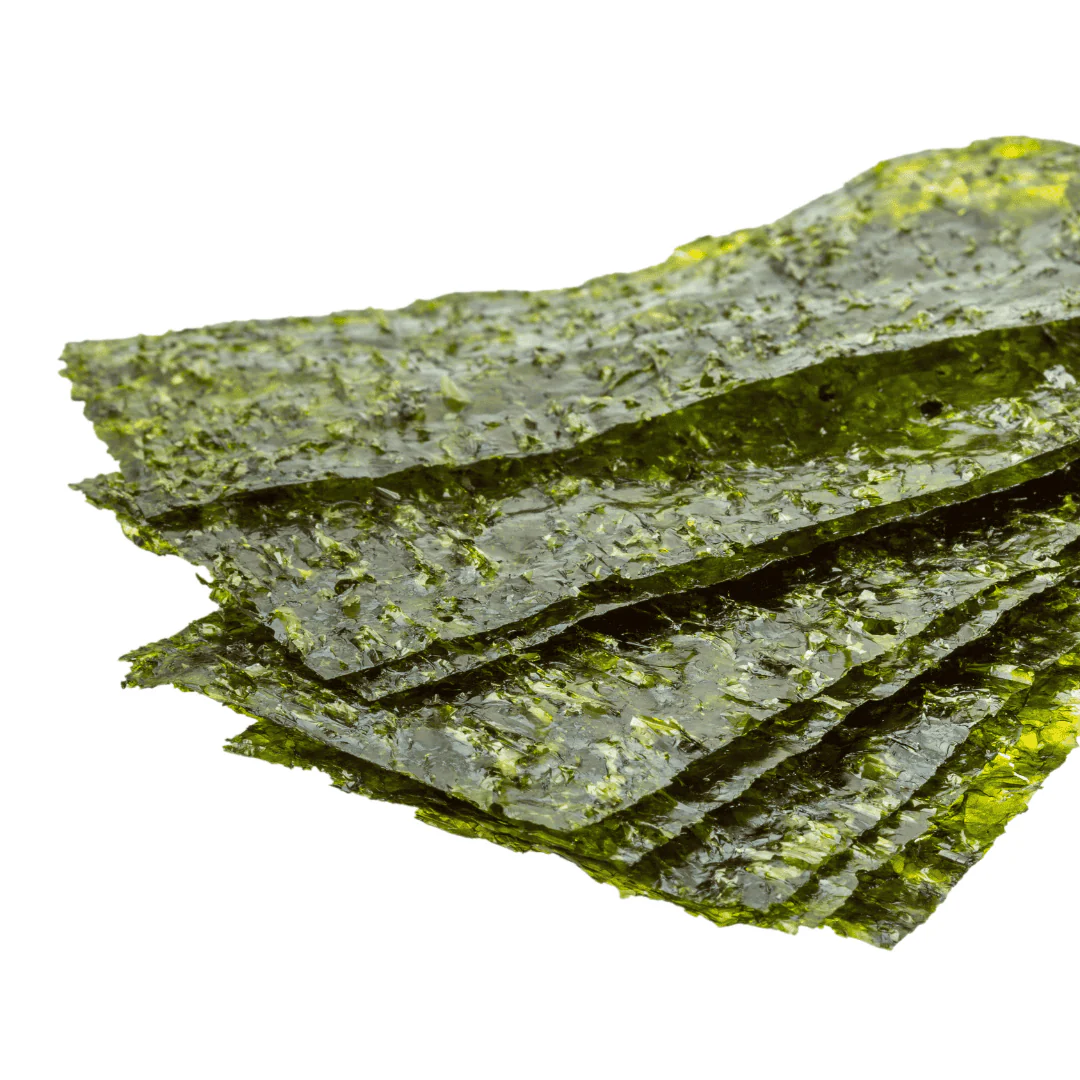 Green Seaweed - Premium Nori - Reef Genetics - Image 2