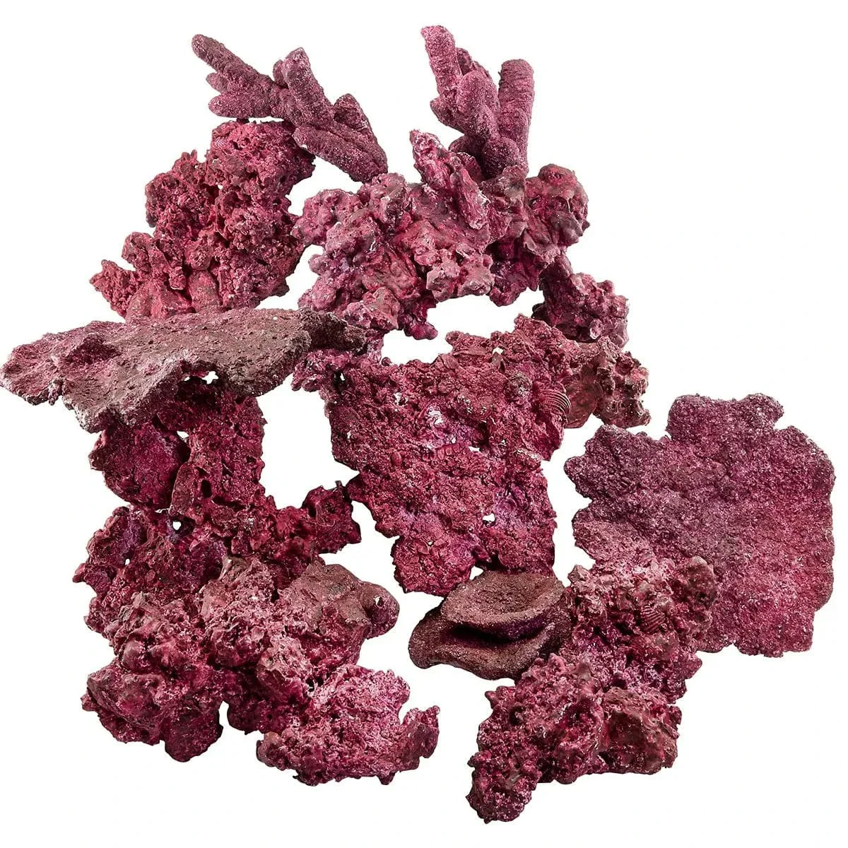"Reef Ready Box" - 20-40 Gallons - Real Reef - Image 2