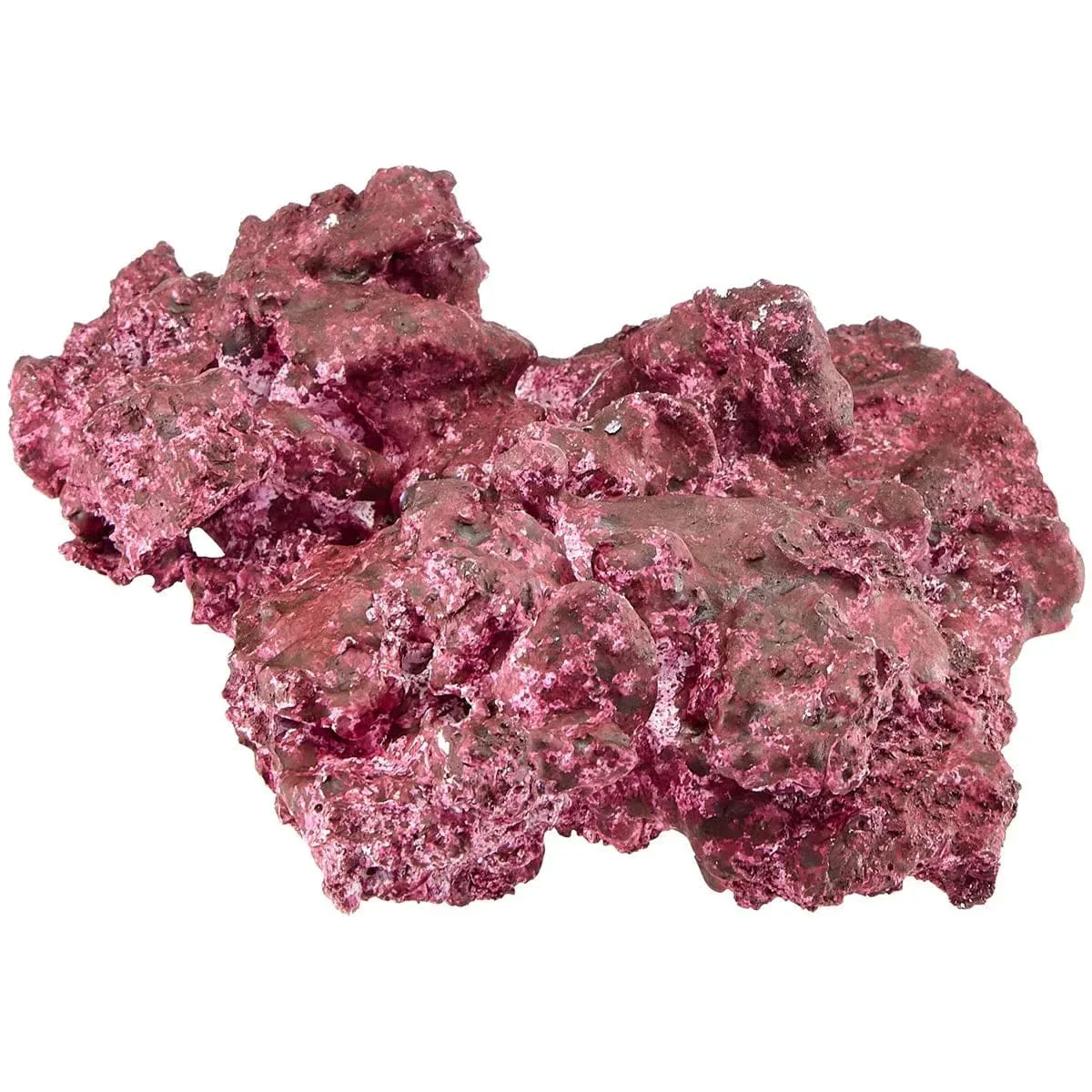 "Reef Ready Box" - 20-40 Gallons - Real Reef - Image 6