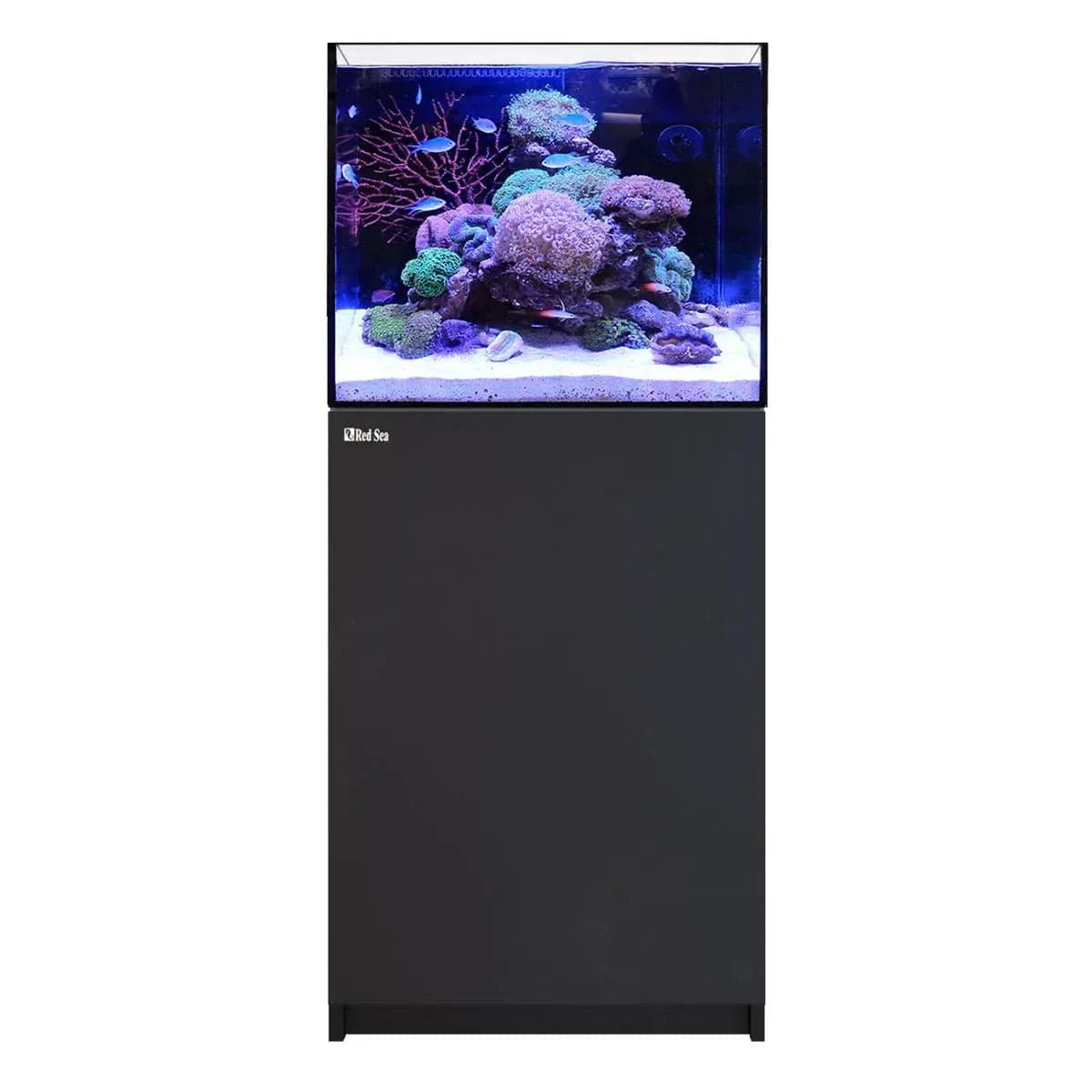 REEFER 170 G3 (43.6 Gal) - Red Sea - Image 4