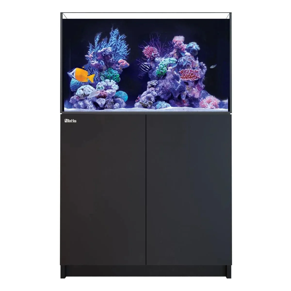 REEFER 250 G3 (64.8 Gal) - Red Sea - Image 4