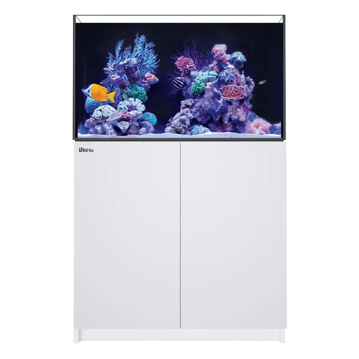 REEFER 250 G3 (64.8 Gal) - Red Sea - Image 5