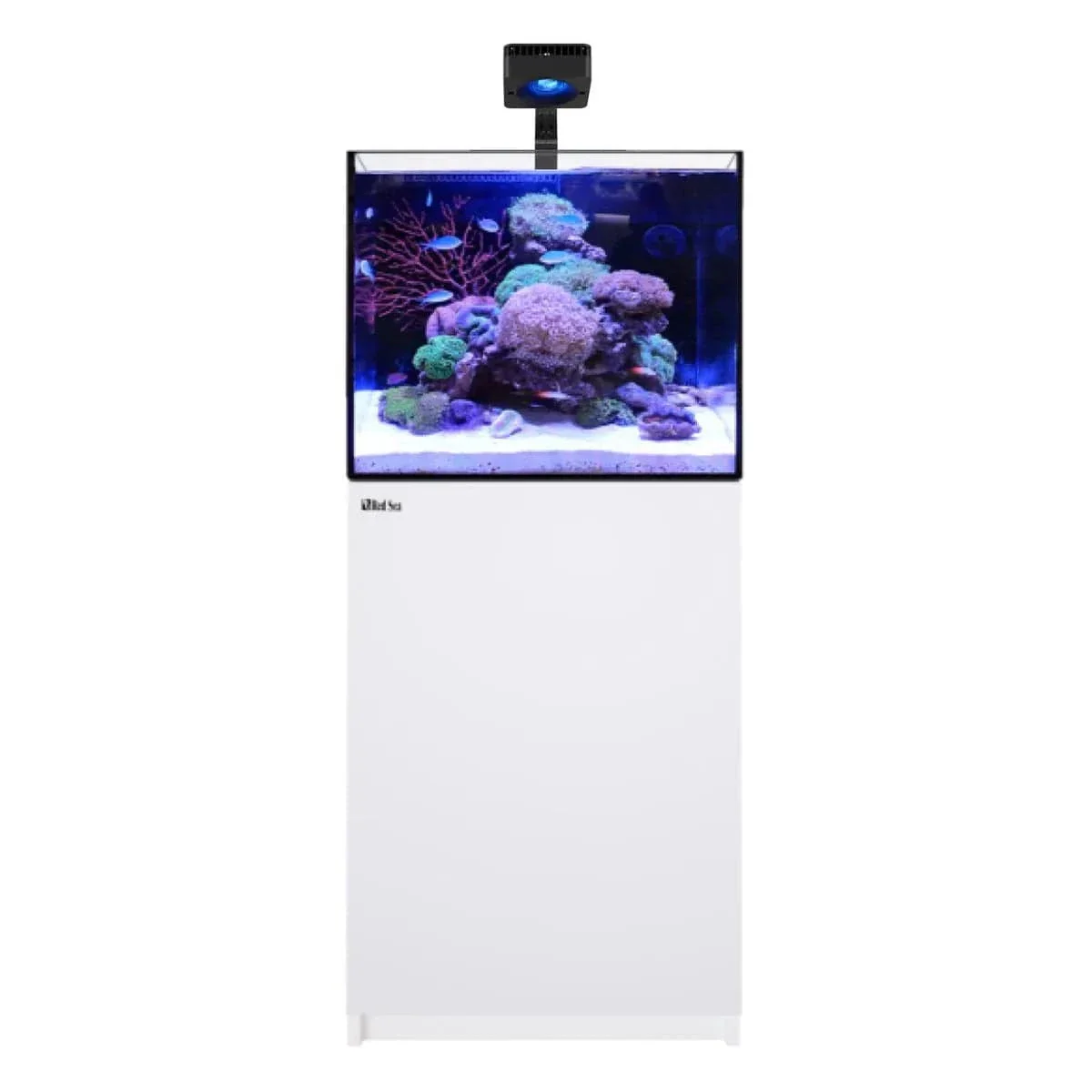 REEFER Deluxe 170 G3 (43.6 Gal) (incl. 1 x ReefLED 115) - Red Sea - Image 5
