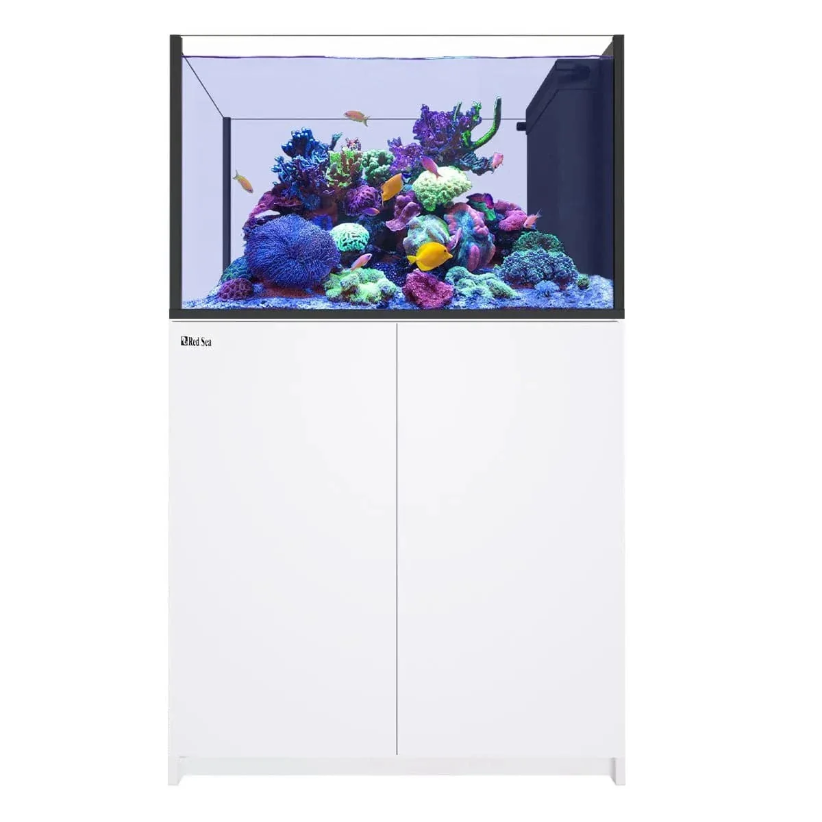 REEFER Peninsula 350 G3 (93 Gal) - Red Sea - Image 5