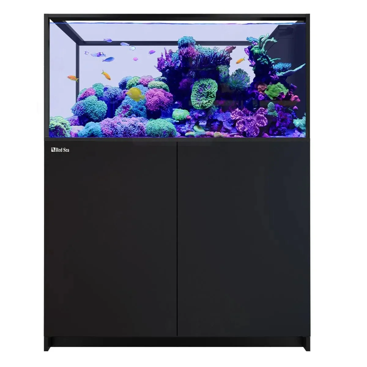 REEFER Peninsula 500 G3 (137.1 Gal) - Red Sea - Image 4