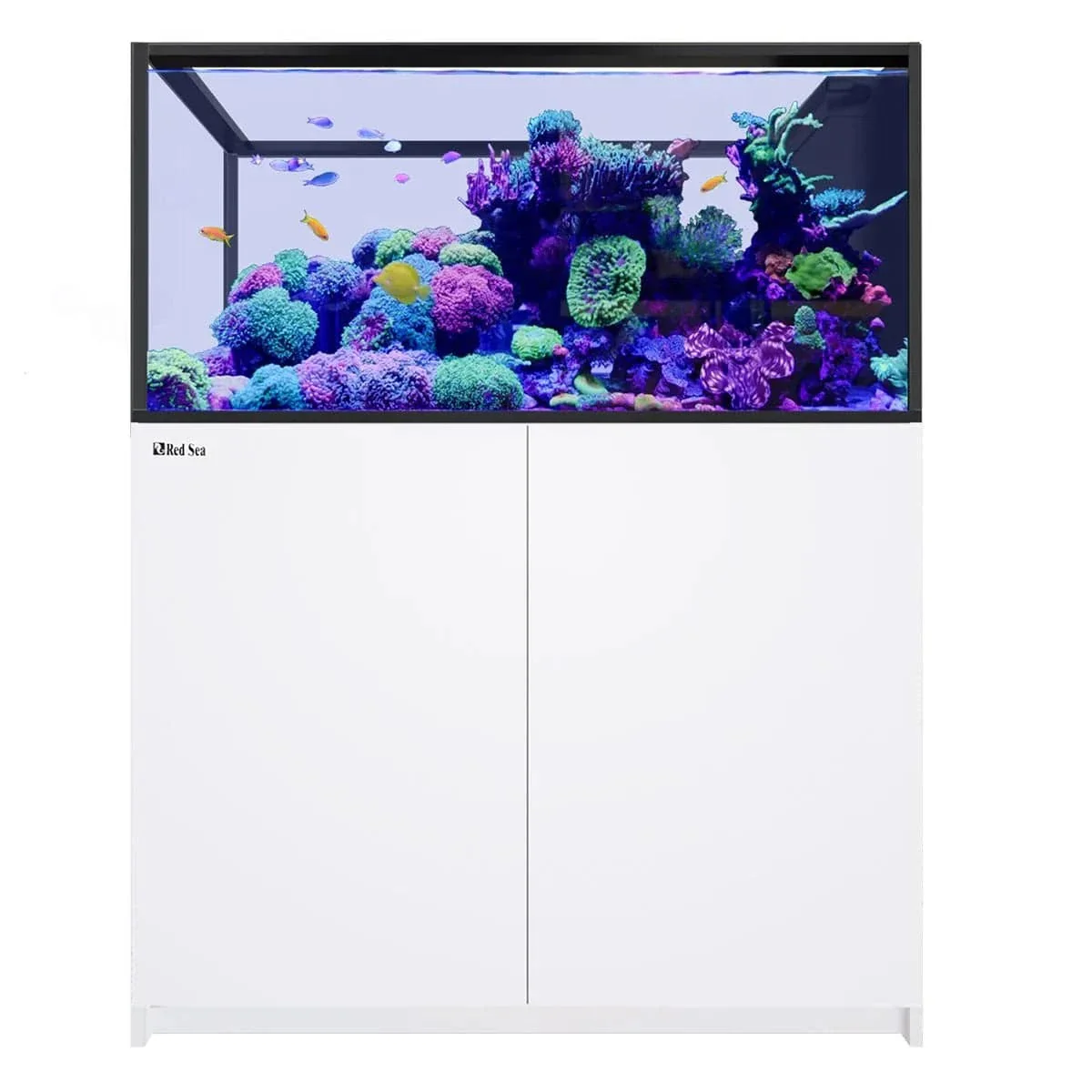REEFER Peninsula 500 G3 (137.1 Gal) - Red Sea - Image 5