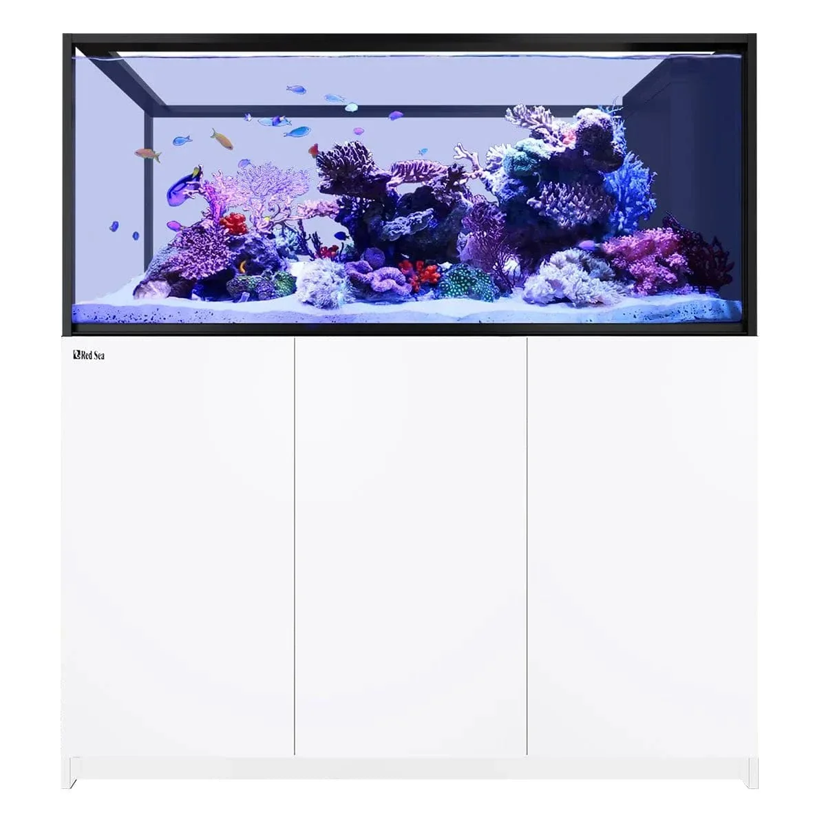 REEFER Peninsula S-700 G3 (186.2 Gal) - Red Sea - Image 5