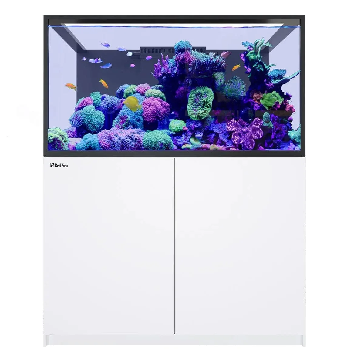 REEFER S-550 G3 (145.1 Gal) - Red Sea - Image 5