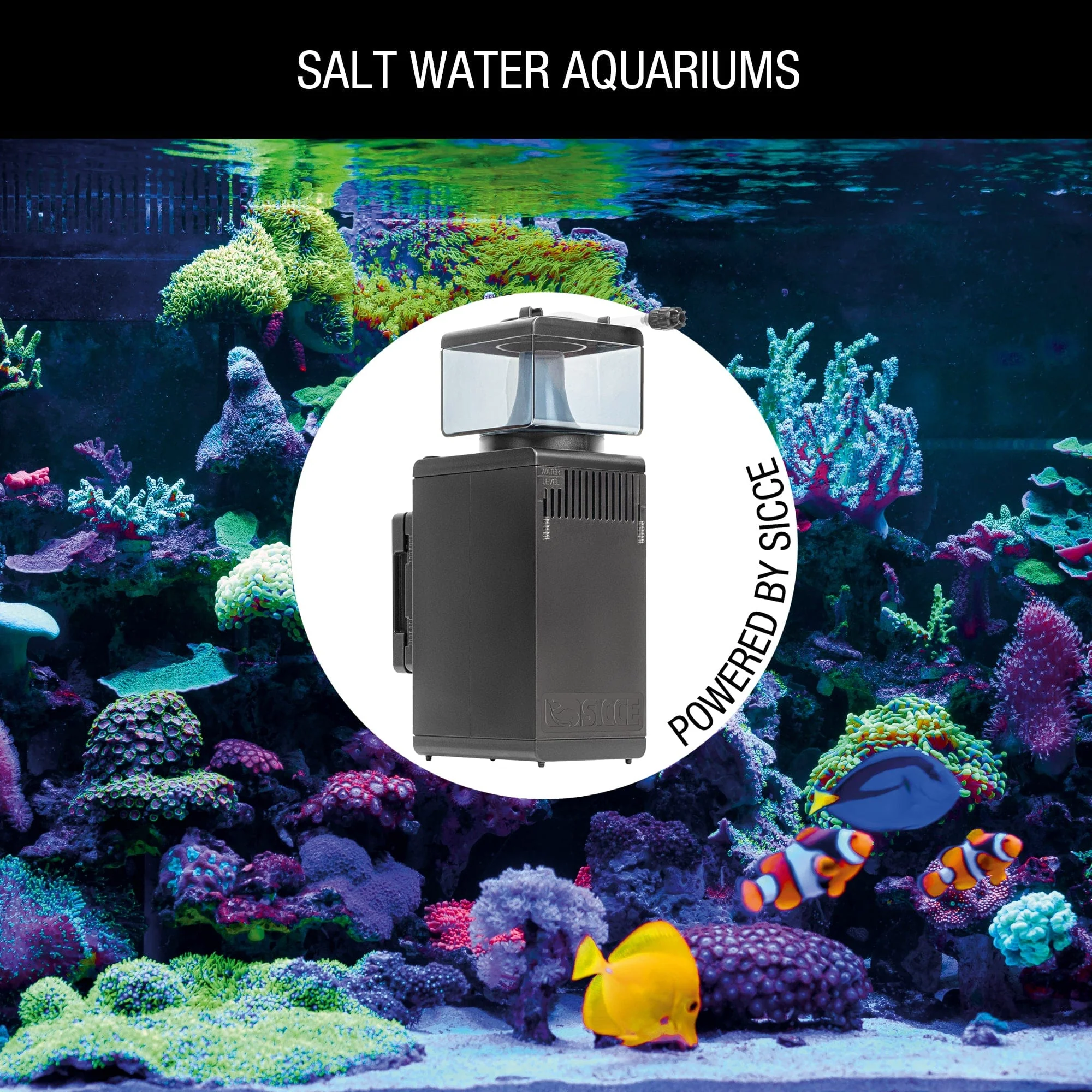 Shark Skimmer 300 Internal Filter - Sicce - Image 8