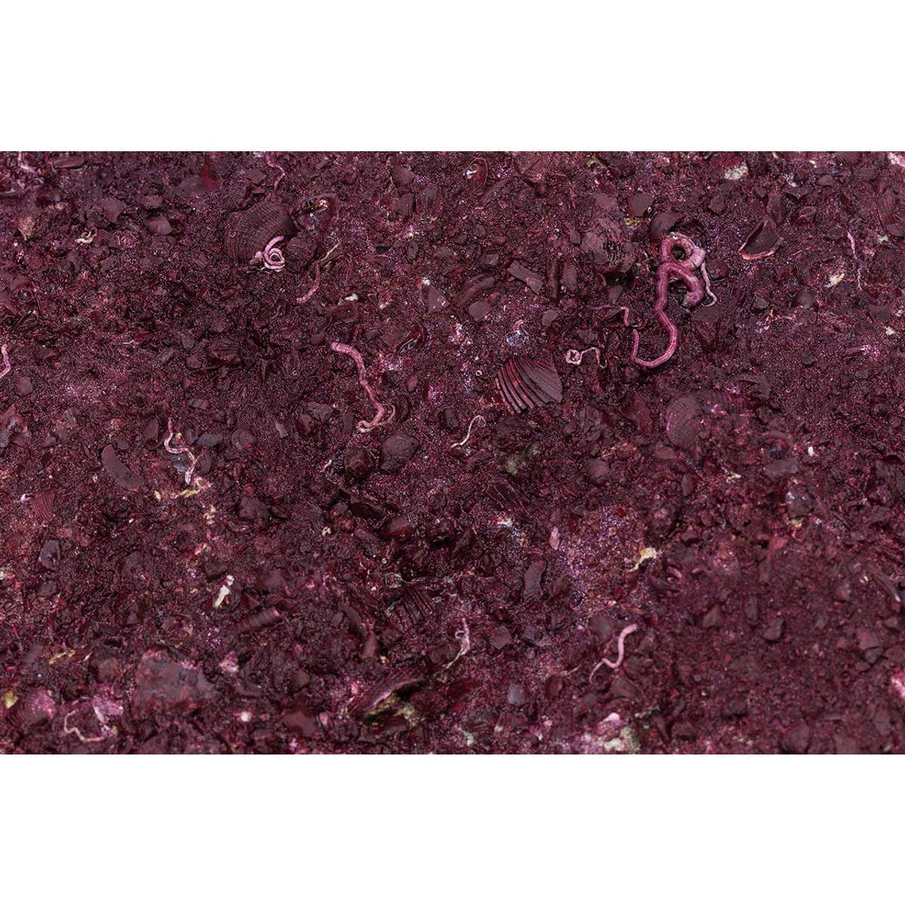 Shelf Rock - 50 lbs Box - Real Reef - Image 12
